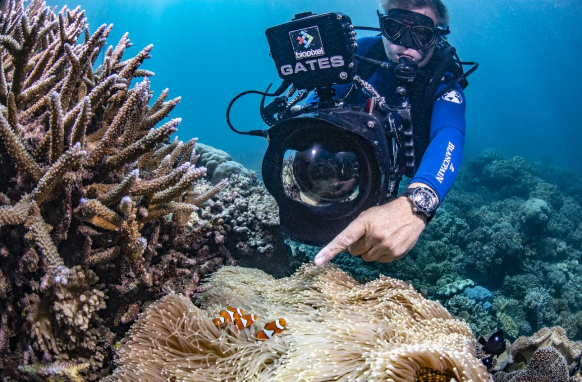 Blancpain has cooperated with the Biopixel Ocean Foundation to launch a series of public welfare projects to protect the marine ecology of the Great Barrier Reef.