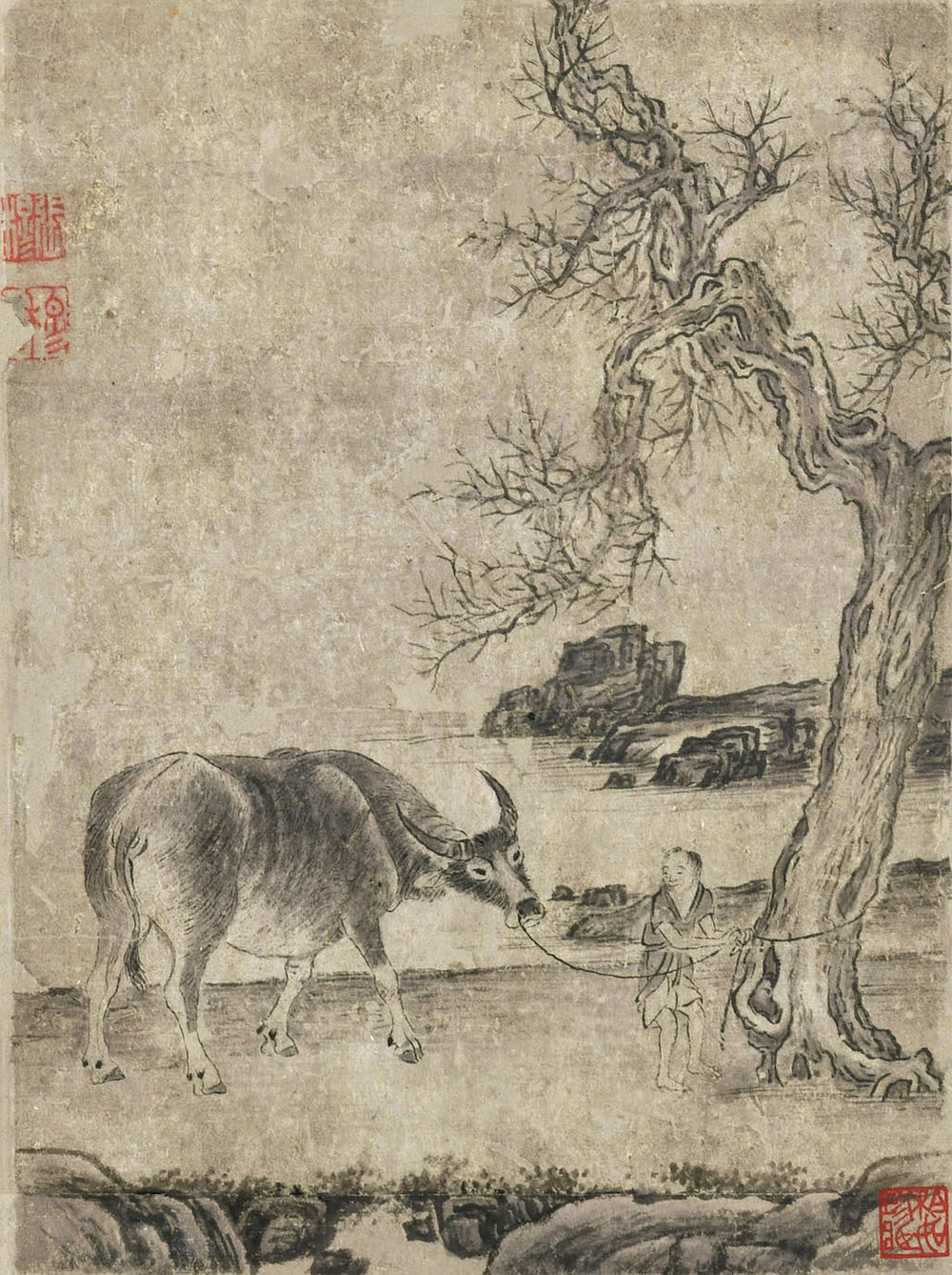 (Ming) Zhang Mu, Cattle Cattle Atlas, Looking Back, Ink and color on paper, 23.7 cm long, 17.7 cm wide, donated by Mr. Yang Quan, collected by Guangzhou Art Museum