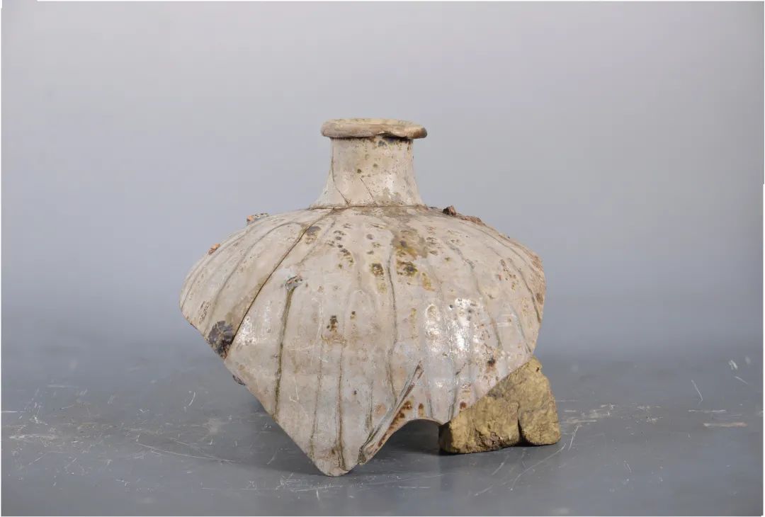 Figure 8 Celadon long-neck arc-bellied jar (specimen TS05W10H36:12)