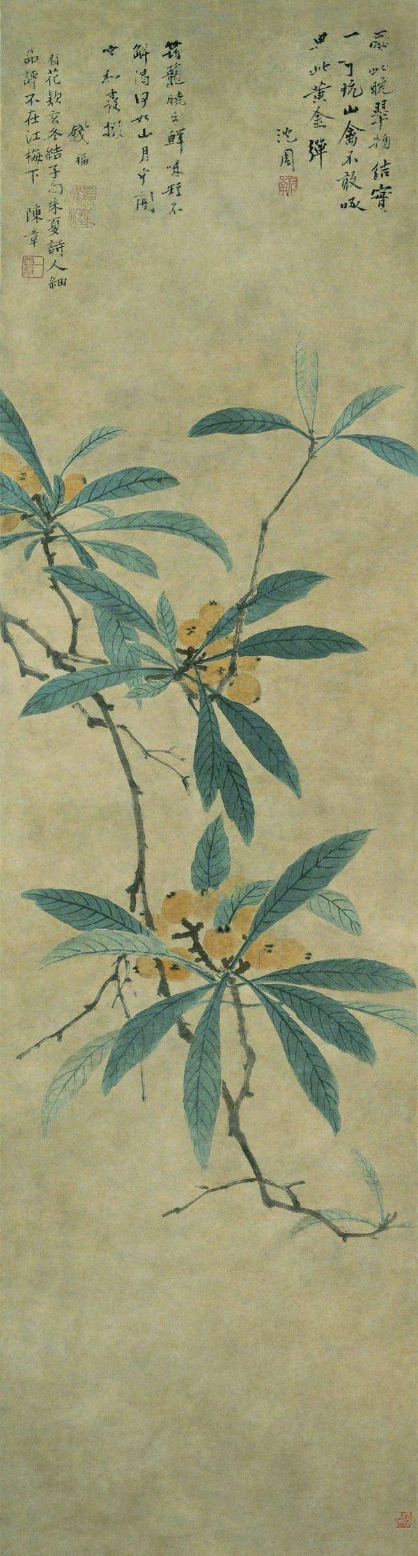 Ming Shen Zhou's "Loquat Scroll" Collection of the Palace Museum