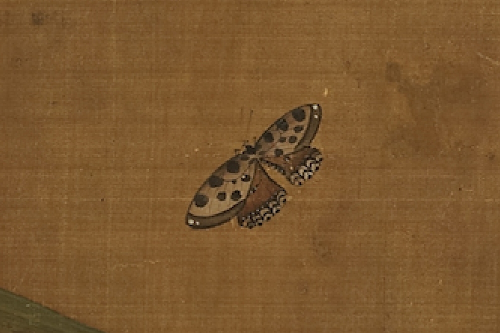 Song Wu Bing Golden Harvest Insect (Partial Butterfly)