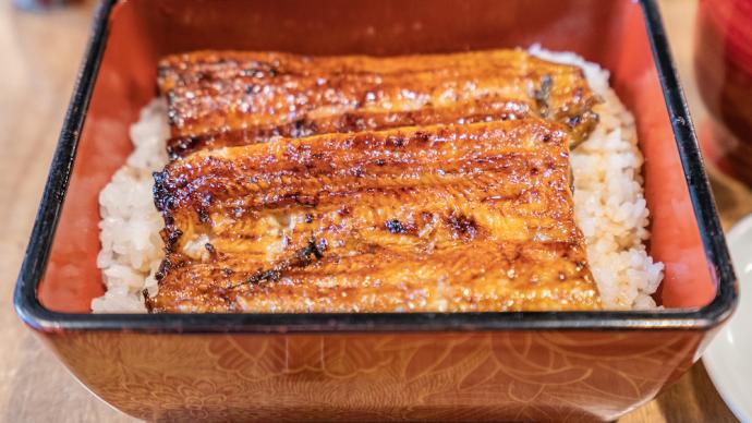 Xu Jingbo of Fudan University: The beginning of autumn is approaching, it is time for the Japanese to eat grilled eel