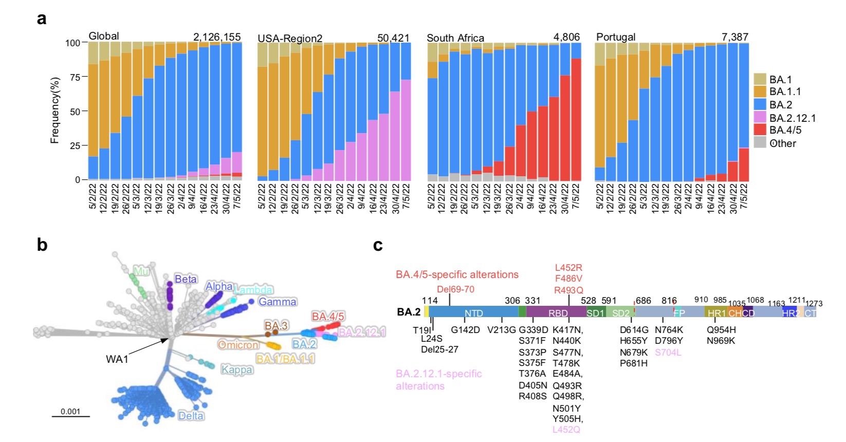 Prevalence of the SARS-CoV-2 Omicron subvariant.