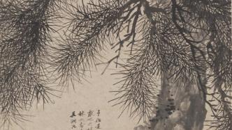 Heavy Snow｜Pines in the Forbidden City&#39;s paintings: uplifting the ground and rising to the sky, clear shade covered with green moss
