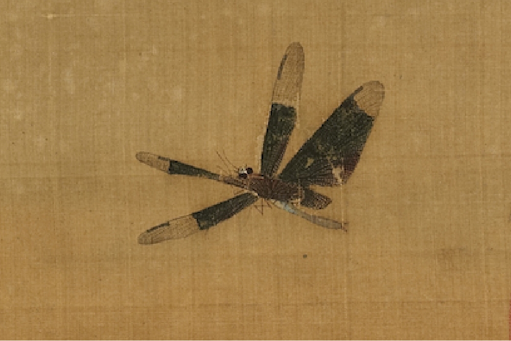 Song Xu Di Wild Vegetables and Insects (Partial Dragonflies)