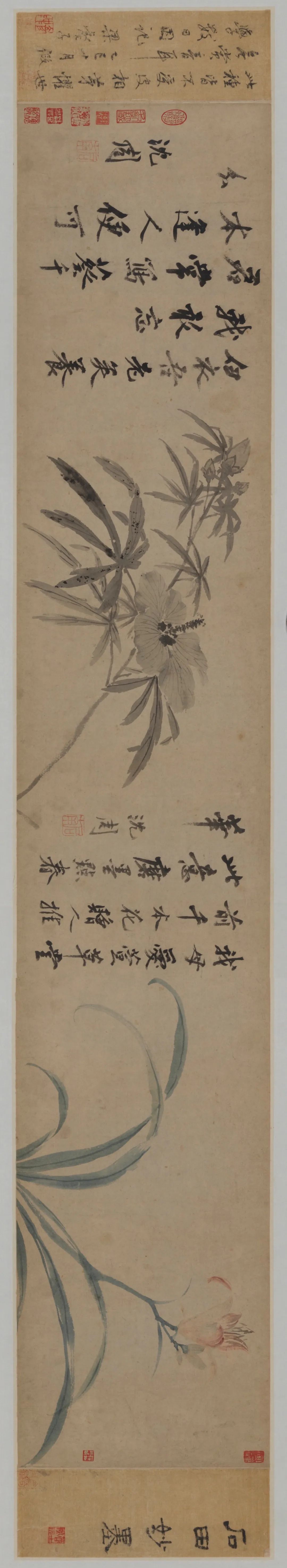 Ming Shen Zhou's "Hemerocallis Sunflower Scroll"