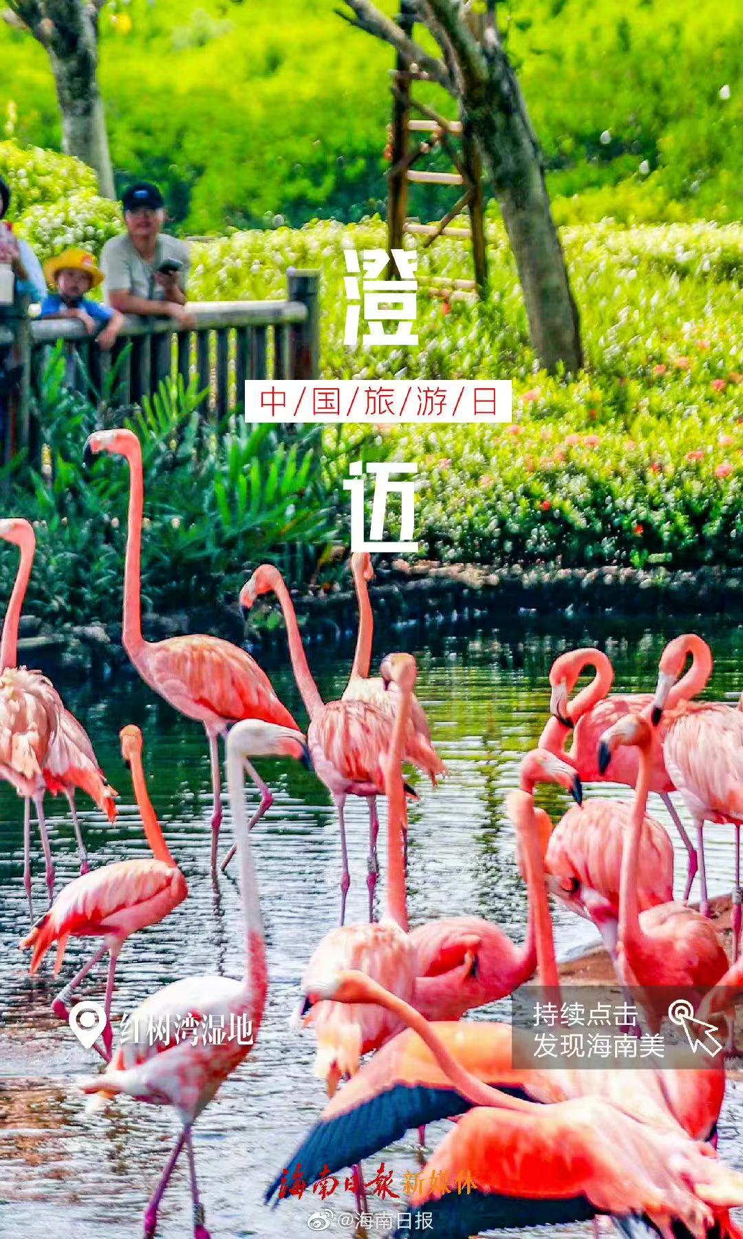 Through "creative travel photography + travel live broadcast", the rich cultural and tourism resources of Hainan are displayed in real scenes.