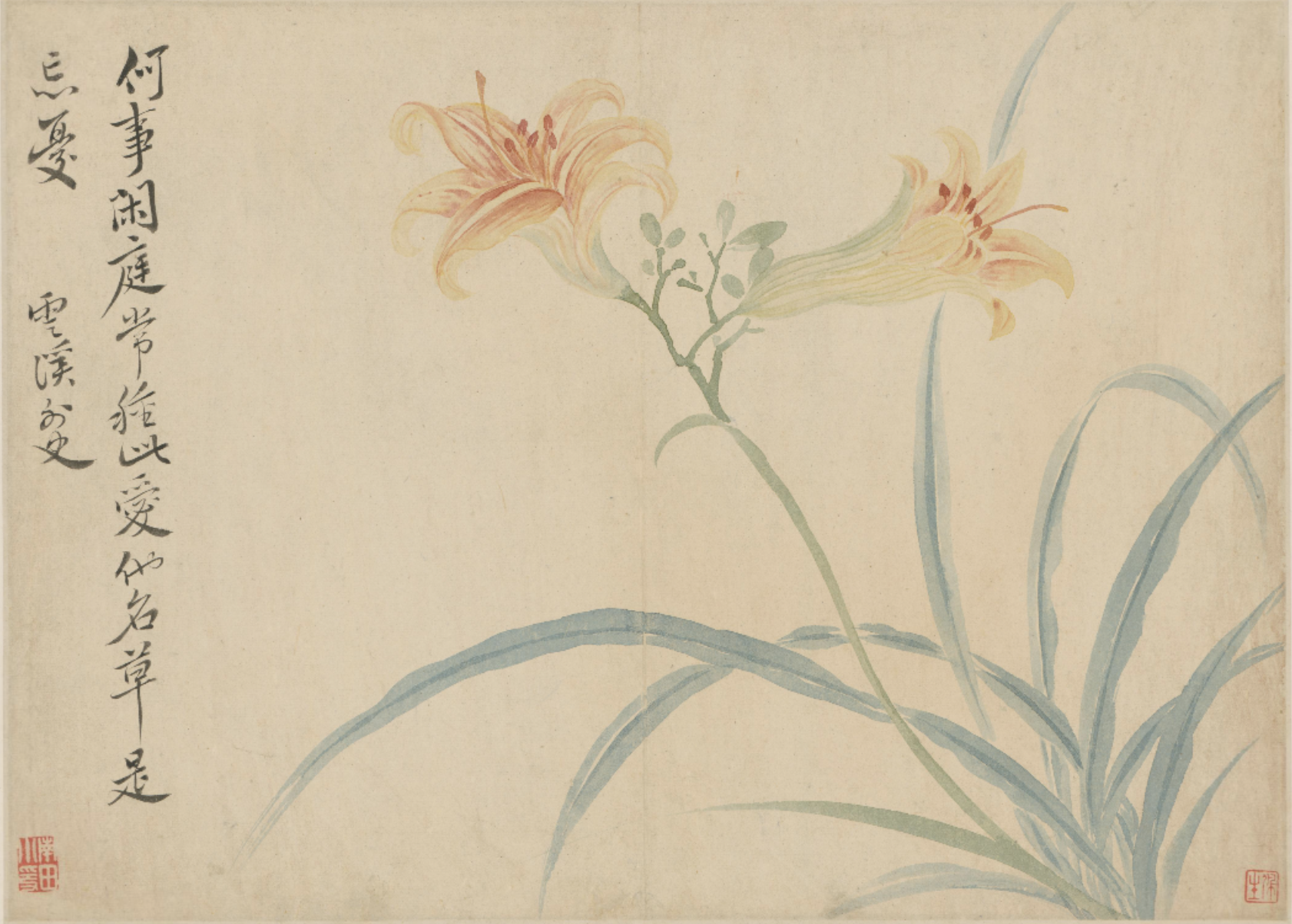 Qing Dynasty, Yun Shouping, Xuanhua This painting is selected from Yun Shouping's "Flower Album" in the Palace Museum