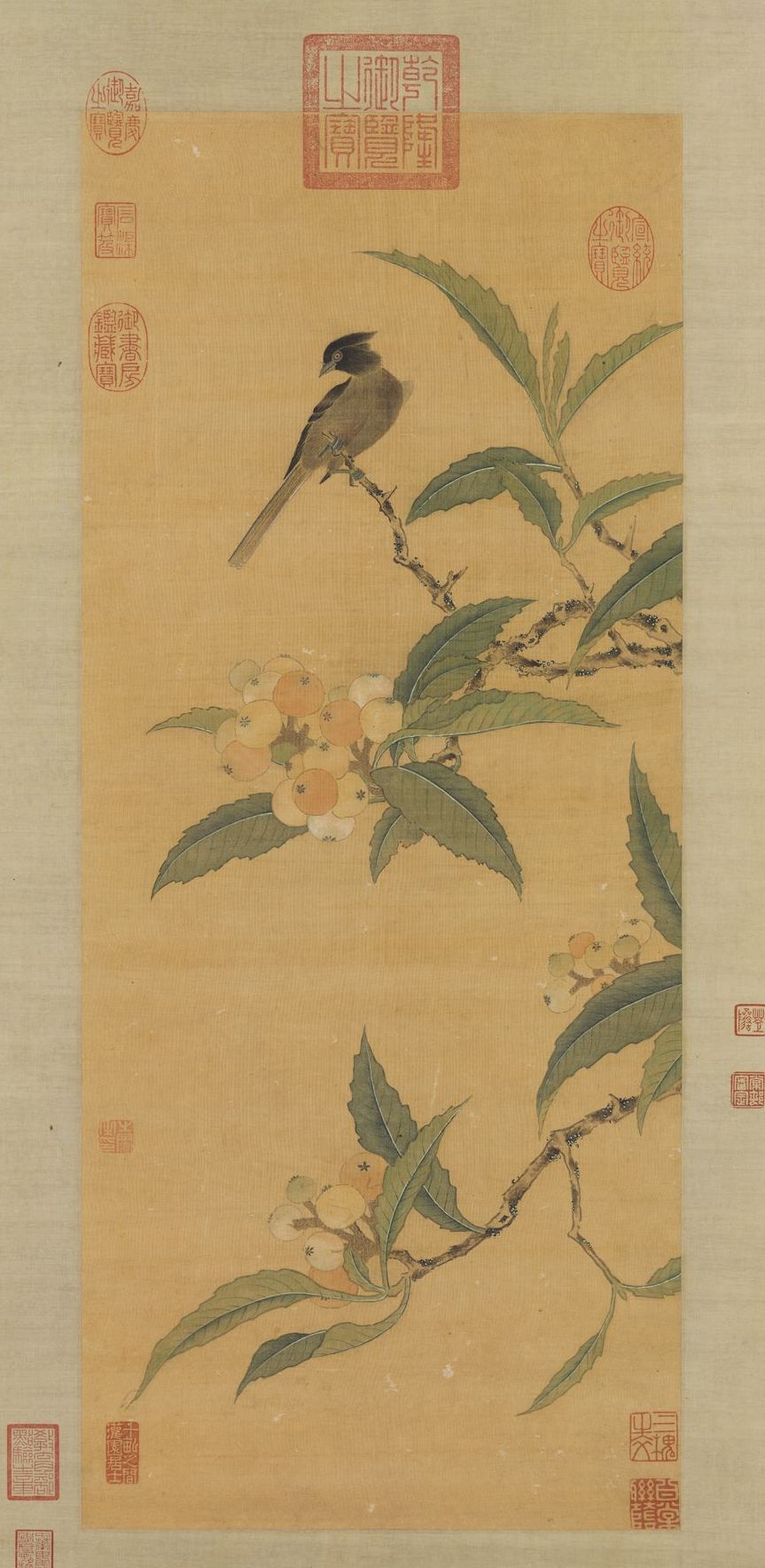 Ming Zhou Zhimian Loquat Rare Bird Scroll Collection of the National Palace Museum, Taipei