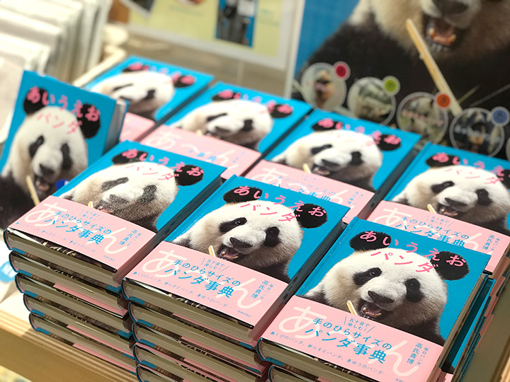 Panda photo book published by Gao Guibo. Gao's Guibo Picture