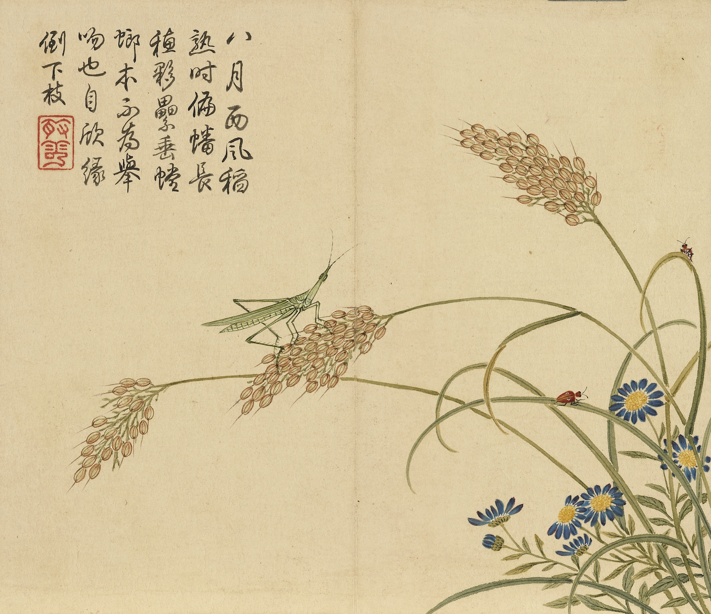 Qing Yang Dazhang Rice Ear Mantis