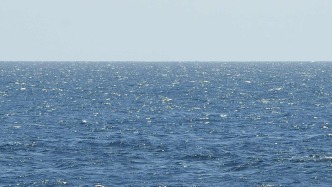Chinese scientists reveal the evolution of the South China Sea deep-sea cold seep system